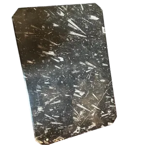 Unique Tabletop Fossil With Ammonites And Orthoceras